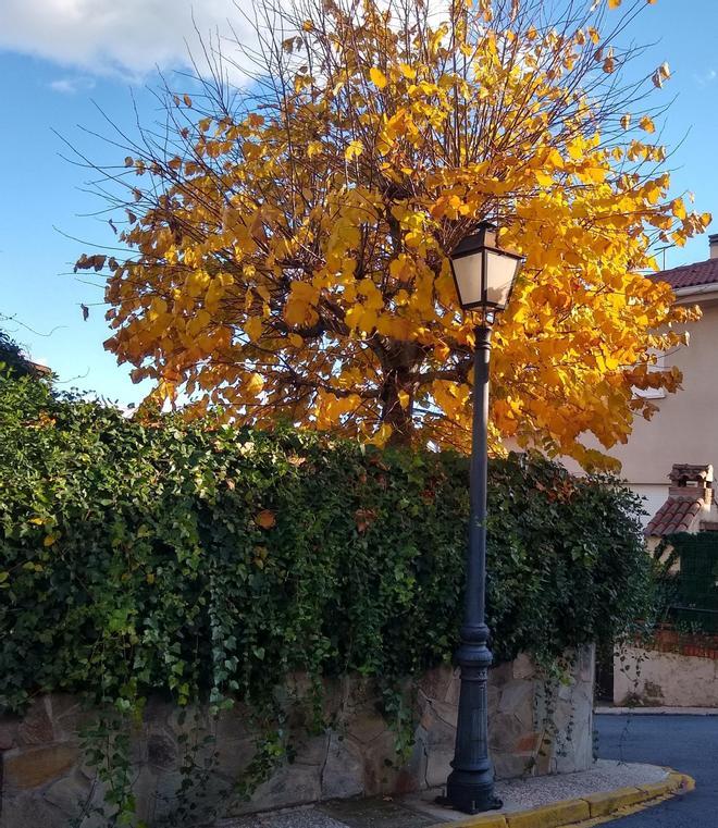 Miraflores de la Sierra (Madrid)