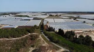 Decenas de sentencias han negado en los últimos tres años agua a fincas de regadío de Doñana