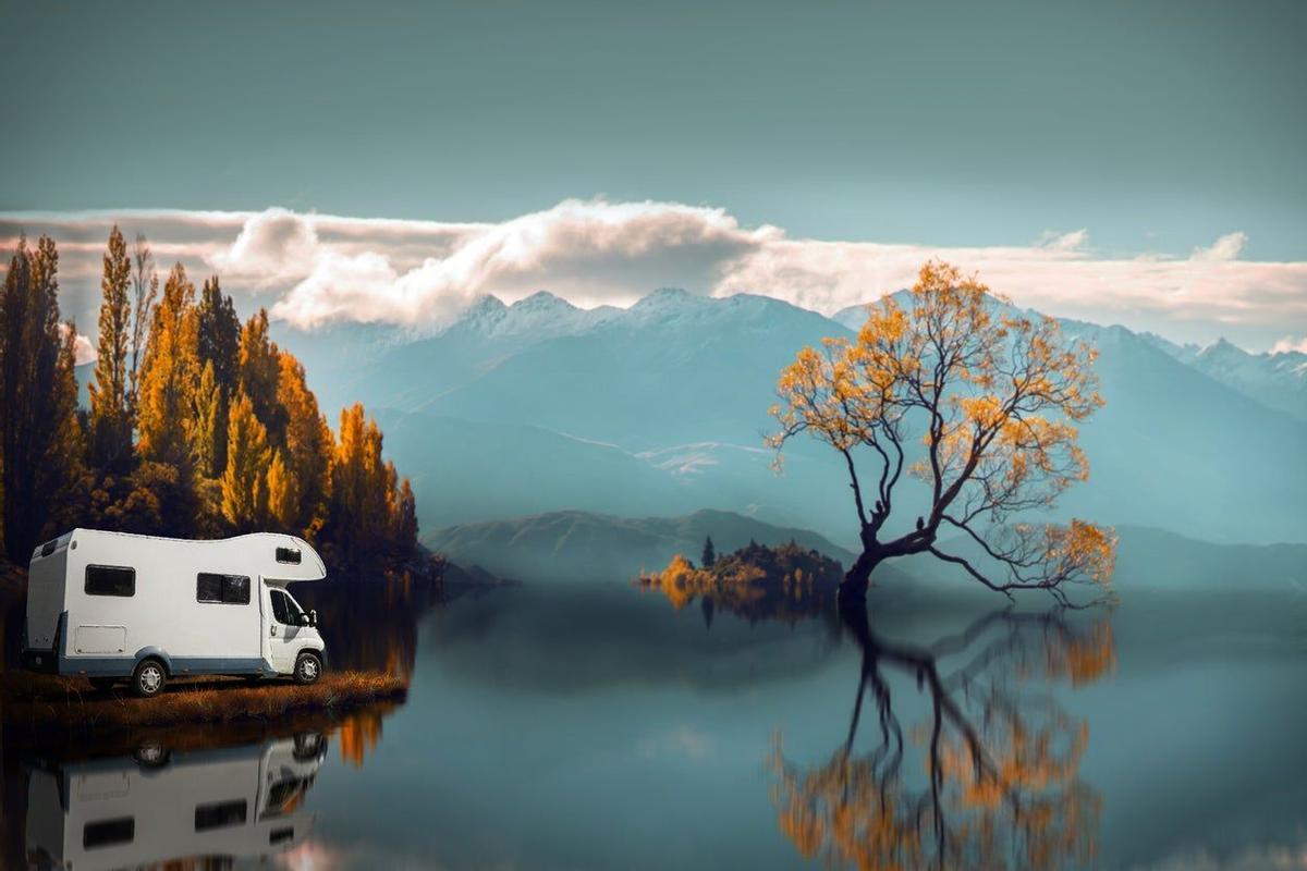 Arbol de Wanaka, Nueva Zelanda