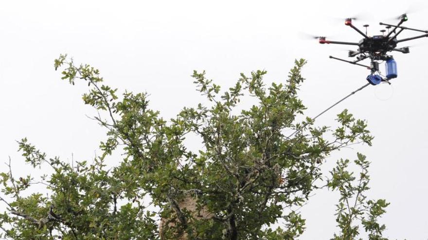 Demostración con un dron de la firma Aerocámaras.