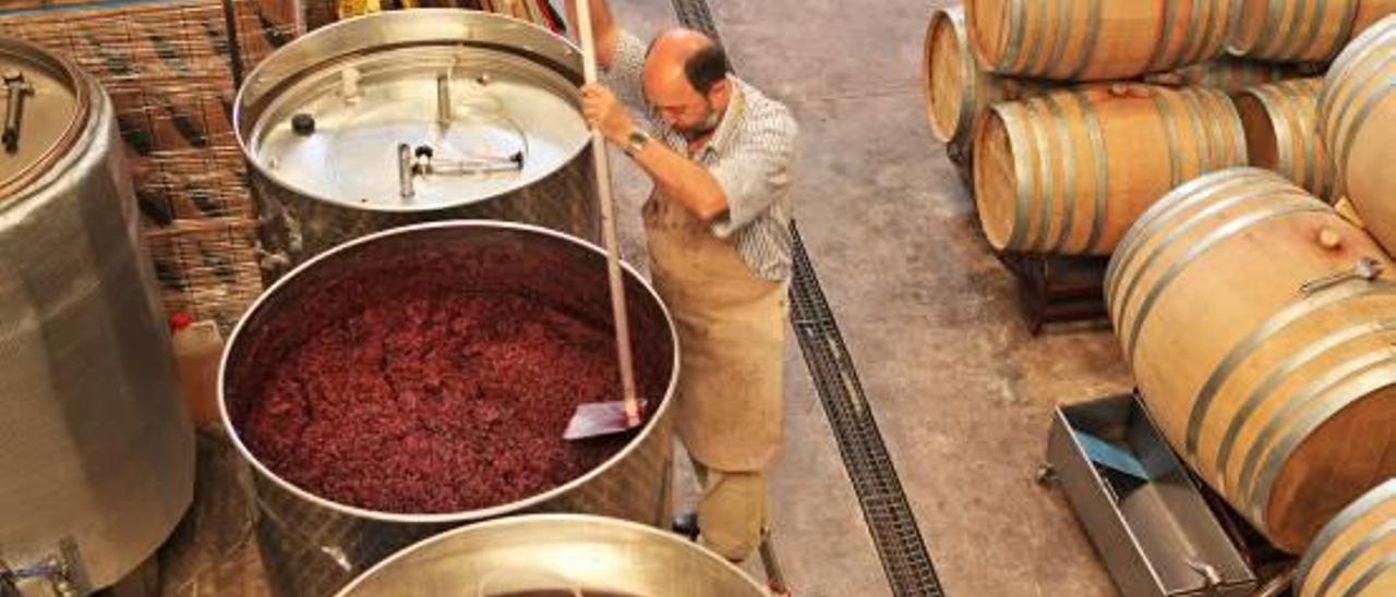 Elaborando el vino en el Celler la Muntanya.