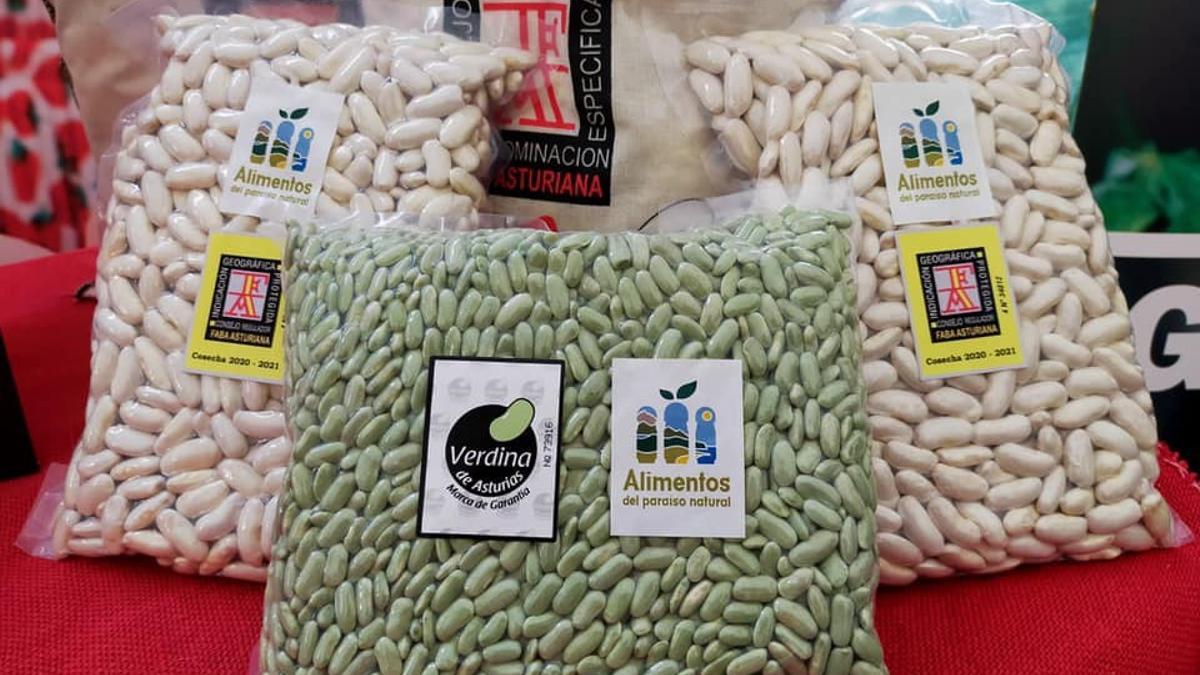 Faba asturiana con IGP.