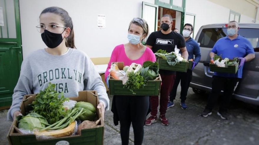 Florida distributes boxes with vegetables again so that the stew can be cooked at home