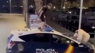 Dos hombres se graban en vídeo saltando encima de un coche de la Policía Nacional mientras los agentes inspeccionan un local del Casino de Alicante