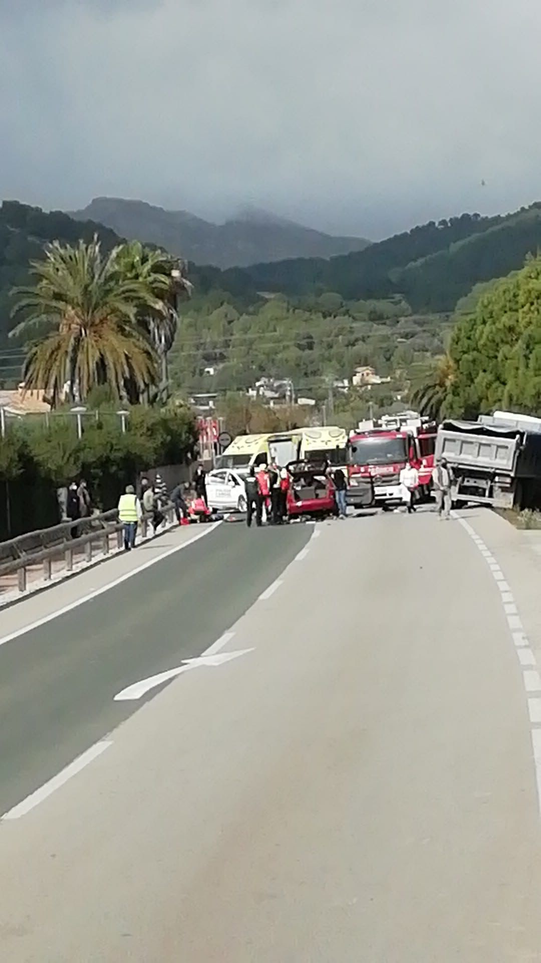 Un muerto en un choque frontal de un turismo y un camión en Andratx