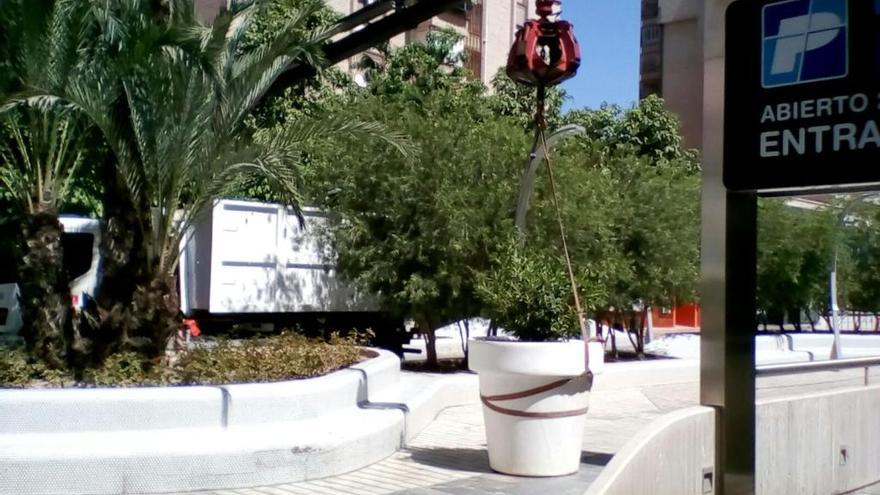 Comienzan a colocar maceteros gigantes en la Avenida de la Libertad