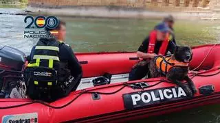 Los buzos vuelven al río Ebro para buscar a Pablo Cebolla