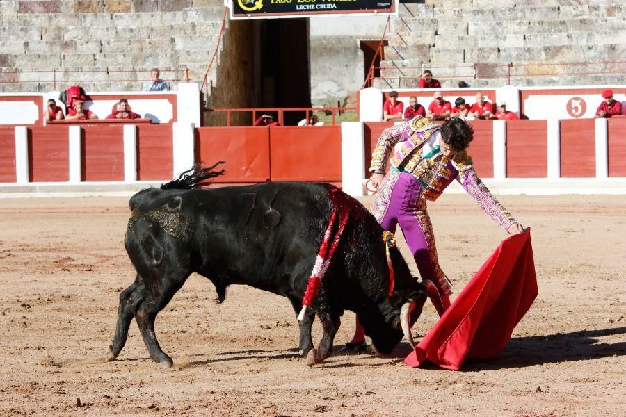 Tarde de toros en Zamora