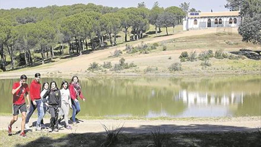 ¿Dónde hay más plazas?