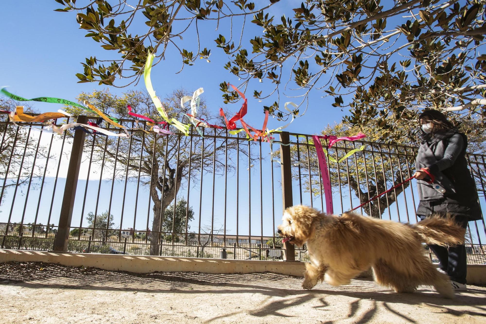 El Ayuntamiento de Alicante instala en el parque del PAU 5 un árbol de metal para que los dueños coloquen las cintas en memoria de los perros fallecidos