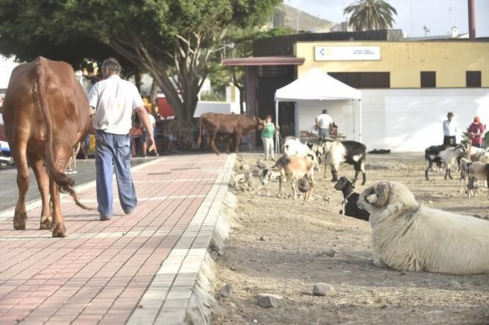 FFERIA GANADO SAN LORENZO 2017