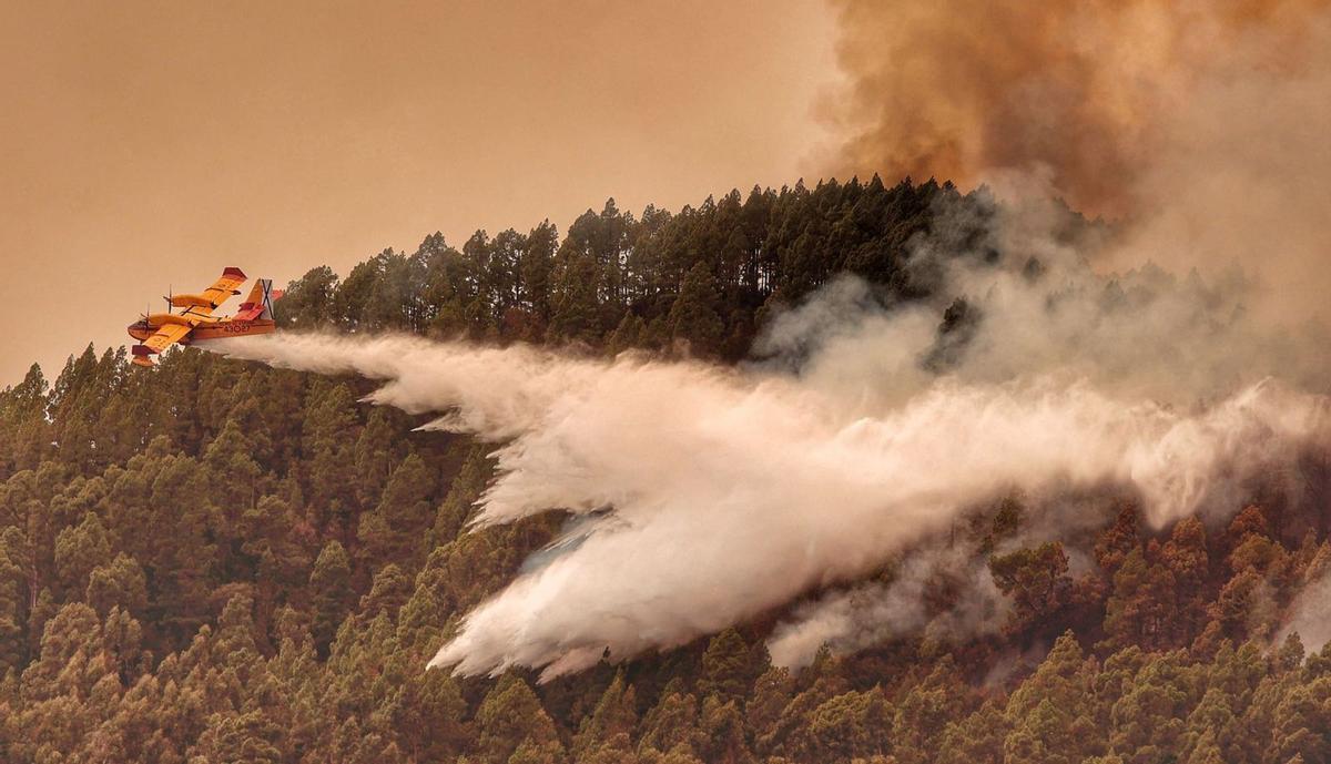 Un hidroavión reliza una descarga en el incendio de Tenerife en 2O23.