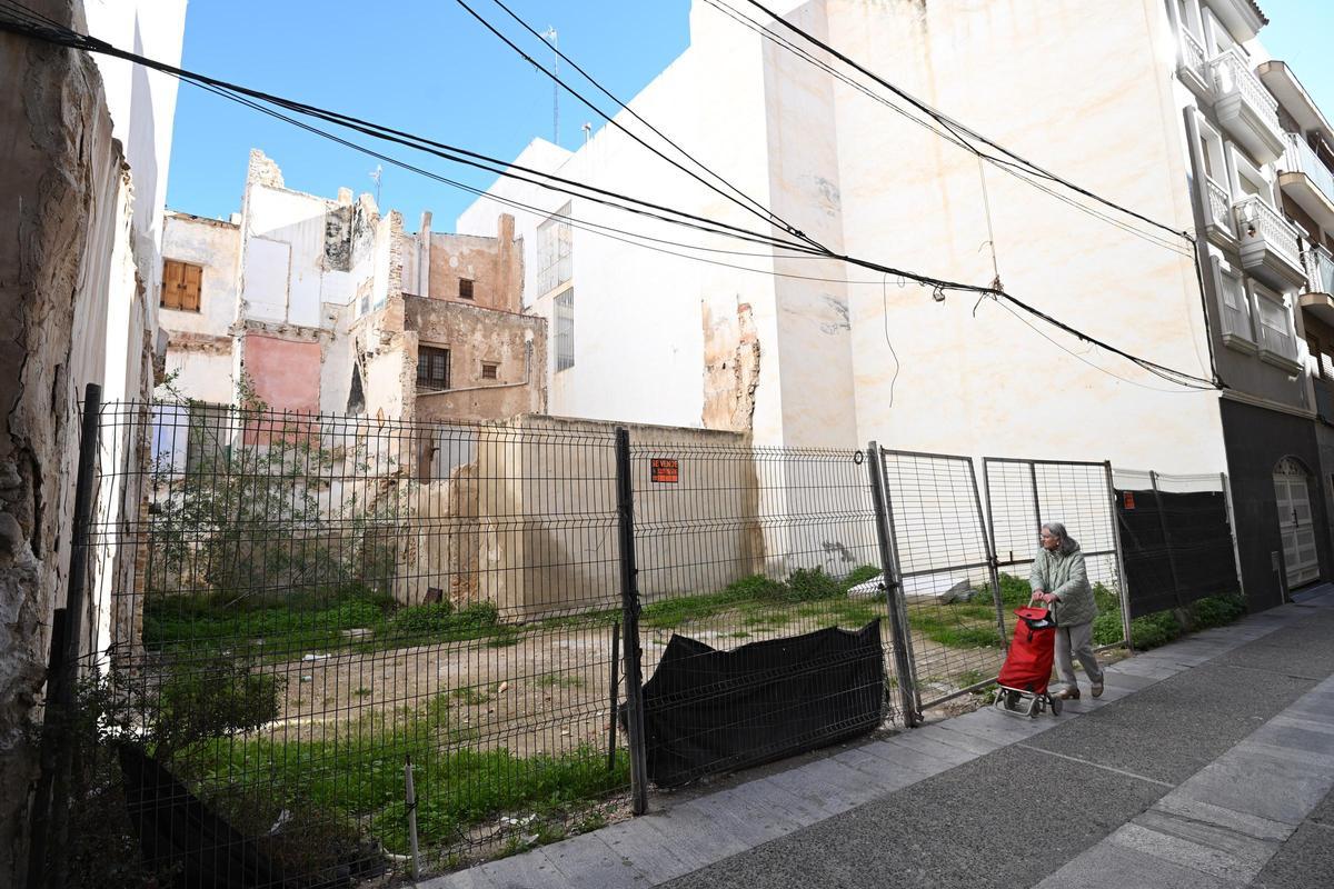 Los vecinos se quejan de que alguien les lleva comida a las ratas de un céntrico solar en Elche