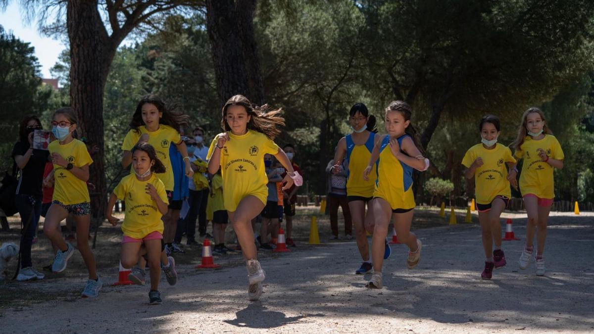 No todo será jarana: vuelven las actividades deportivas