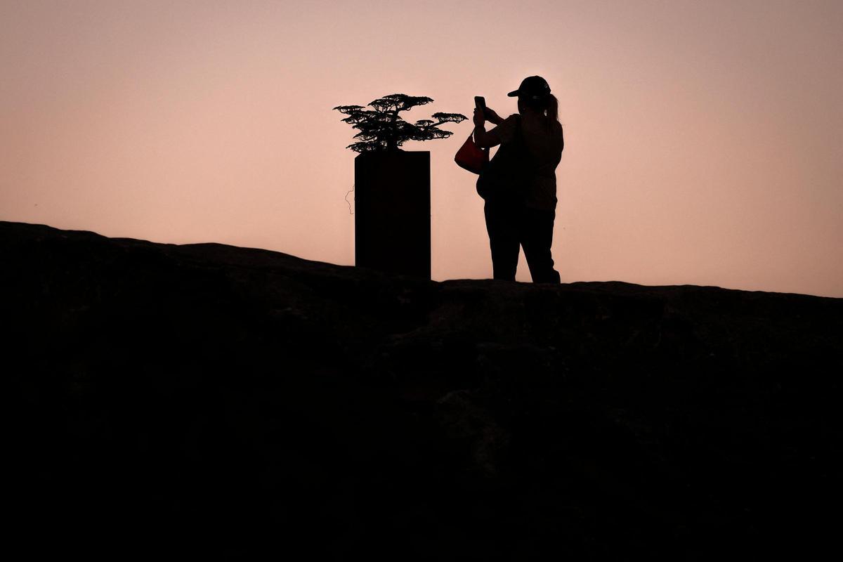 Sídney acoge la mayor exposición de esculturas al aire libre