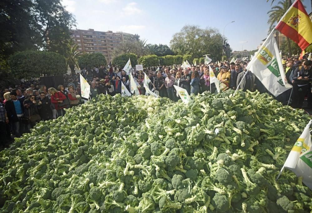 Así ha sido la manifestación de los agricultores en Murcia (II)