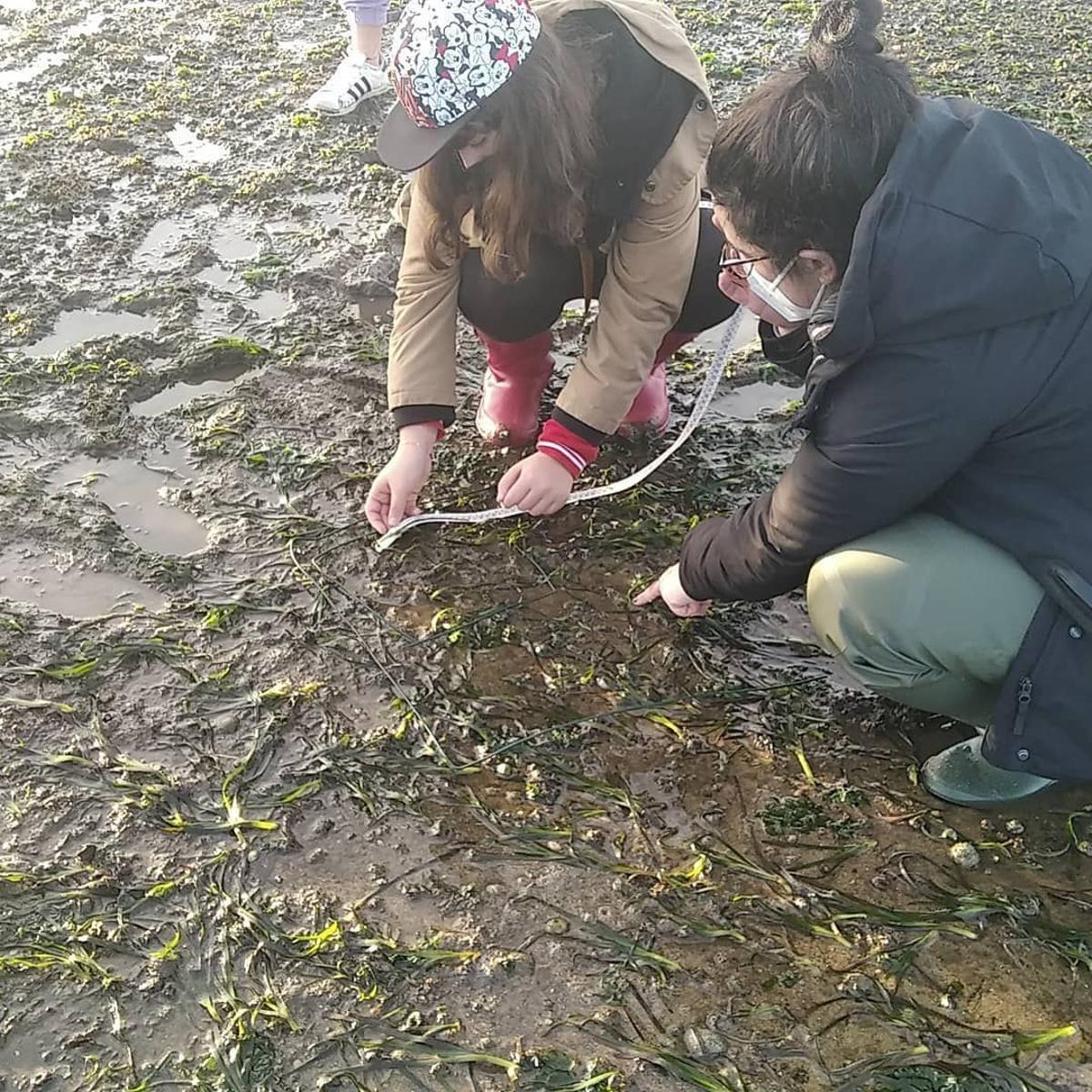 Los alumnos pudieron estudiar las praderas marinas sobre el terreno.