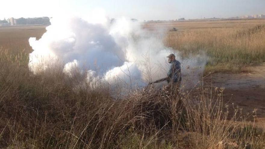 Moncofa, Benicàssim y Orpesa inician la lucha antimosquitos