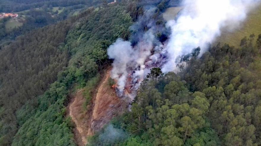 Los bomberos sofocan un incendio forestal en Salas