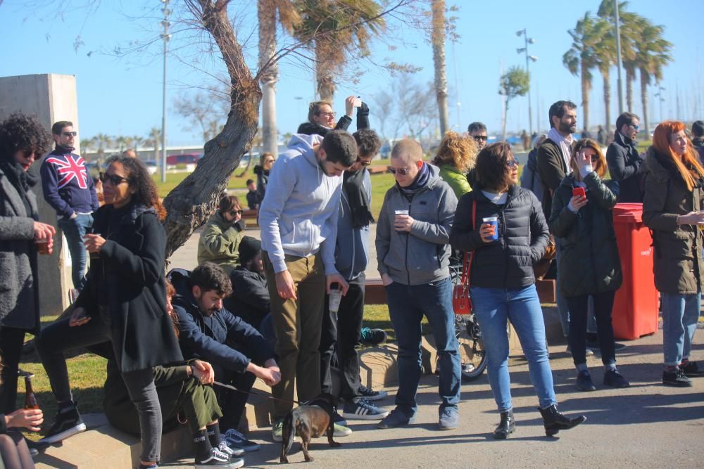 Conciertos en la Pérgola de La Marina