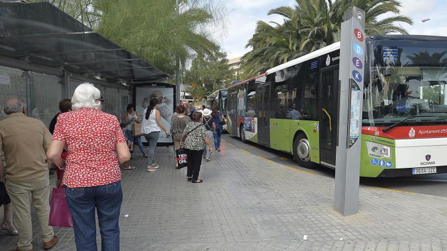 La Plataforma para la Movilidad reclama un ente que coordine el transporte público