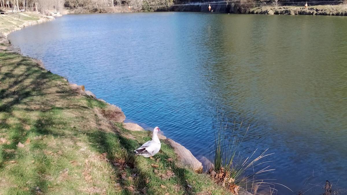 El llac de Navarcles.