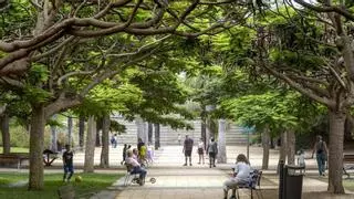 Canarias necesita triplicar sus zonas verdes urbanas