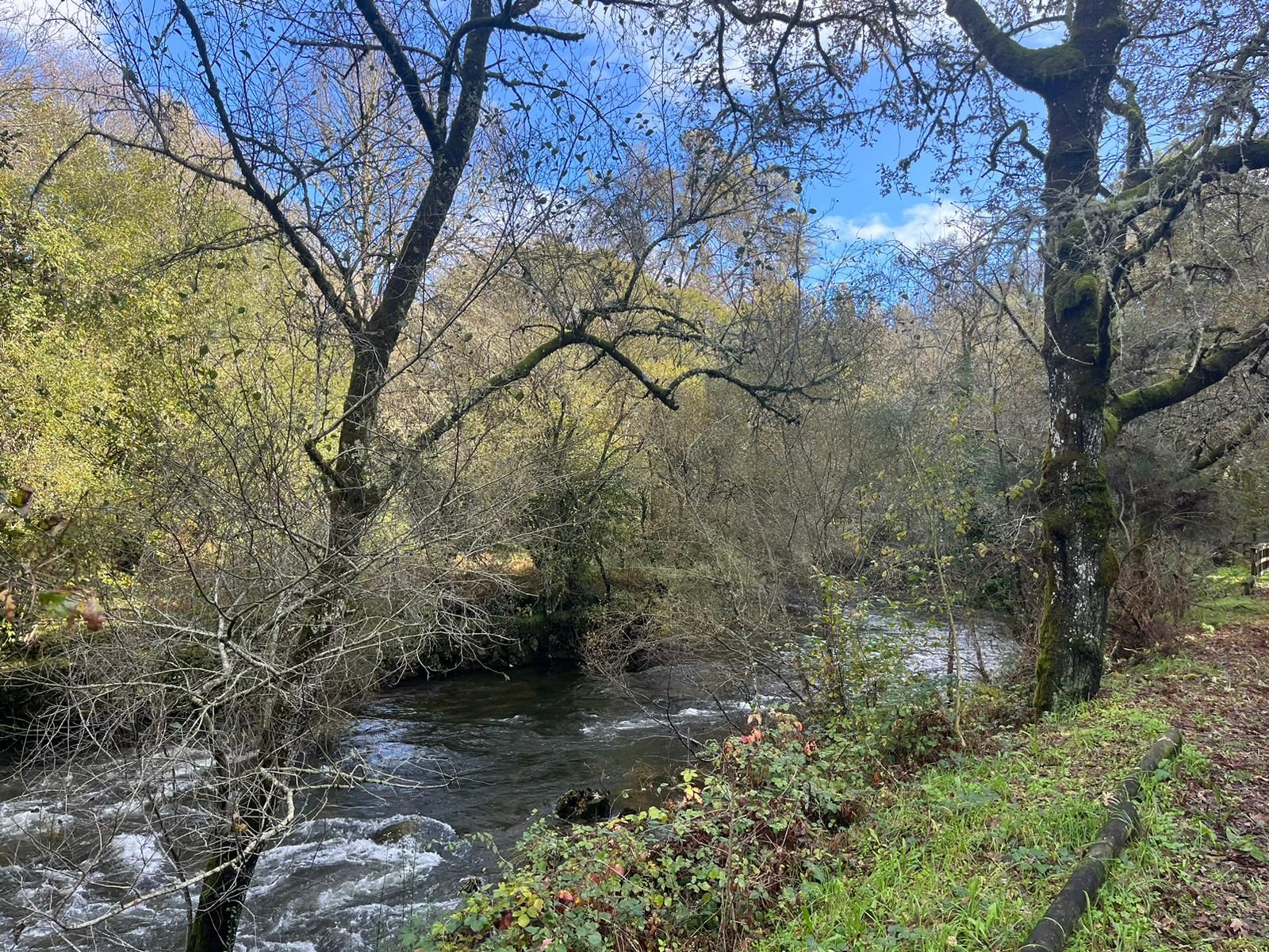 Recuperan del río Arenteiro el cadáver de una mujer de 89 años