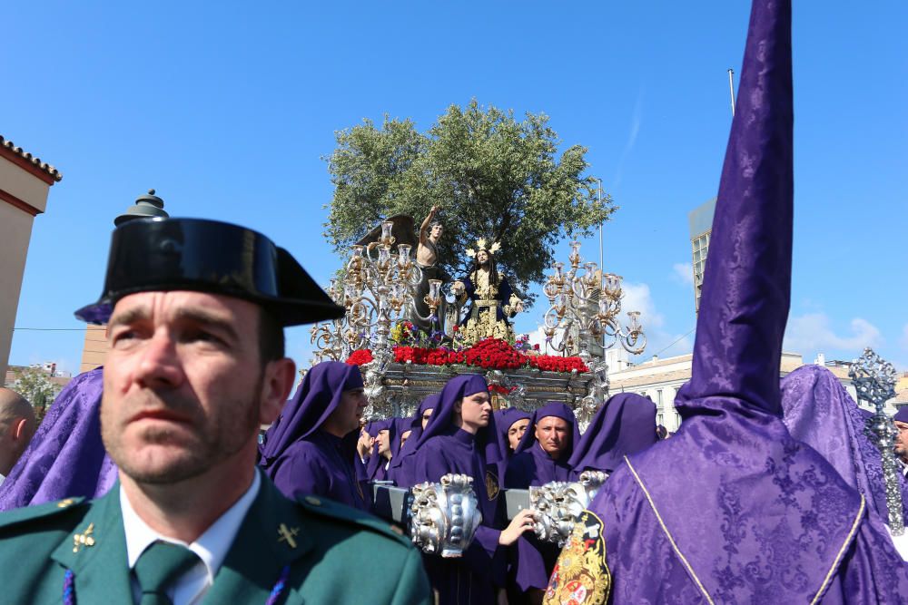 Domingo de Ramos l Huerto