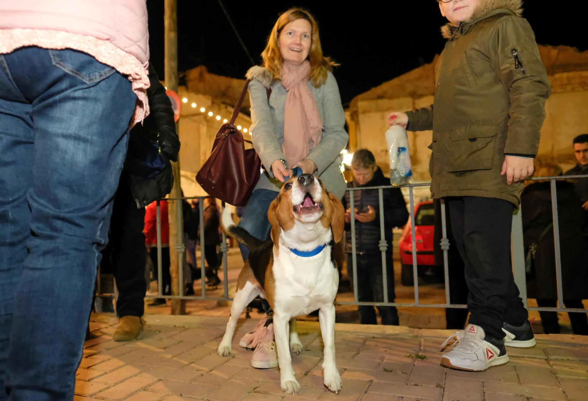 Así fue la última media fiesta de Elda el día de San Antón de 2020 dos meses antes de irrumpir la pandemia de Covid-19