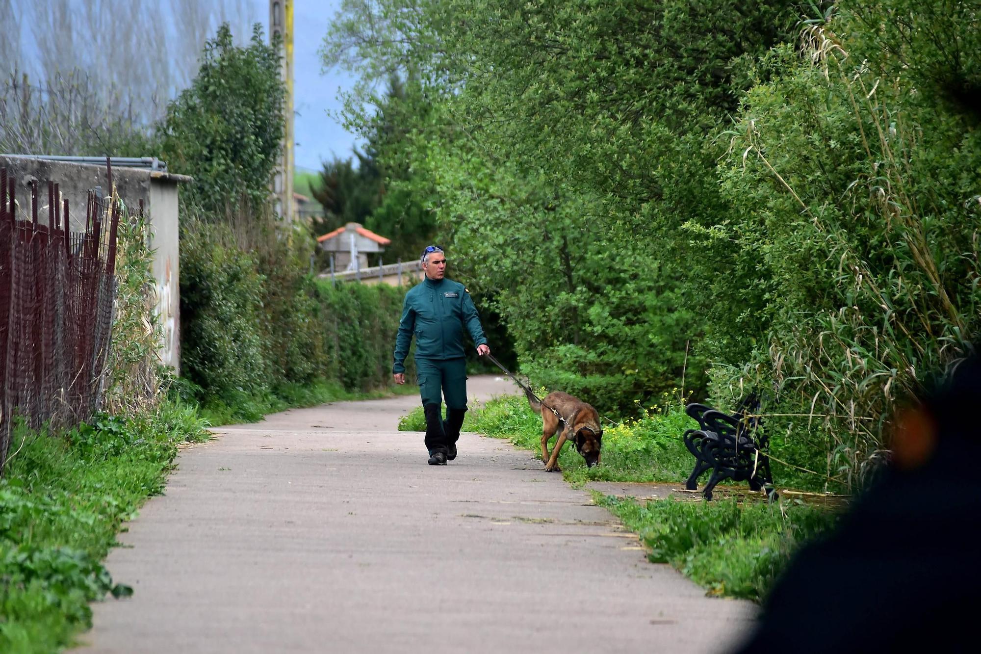 Perros de la Guardia Civil buscan al desaparecido en Plasencia