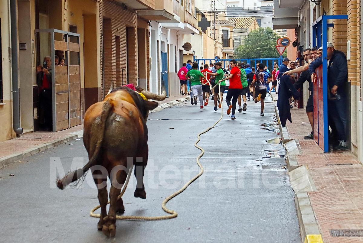 Bous a Les Alqueries 2025