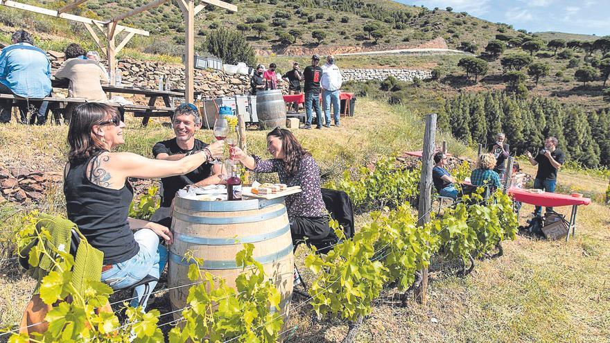 Més del 70% dels cellers gironins ofereixen activitats d’enoturisme