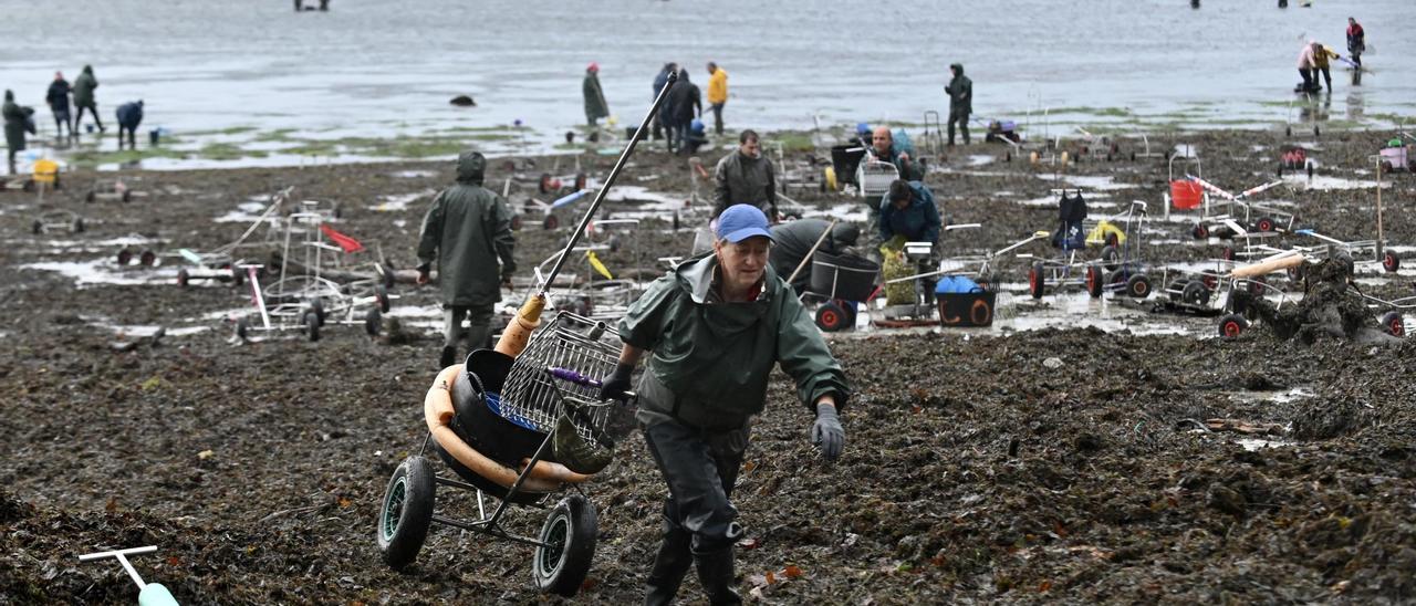 Una mariscadora carga con sus aparejos, ayer lunes en la playa de Cabeceira, en Poio.