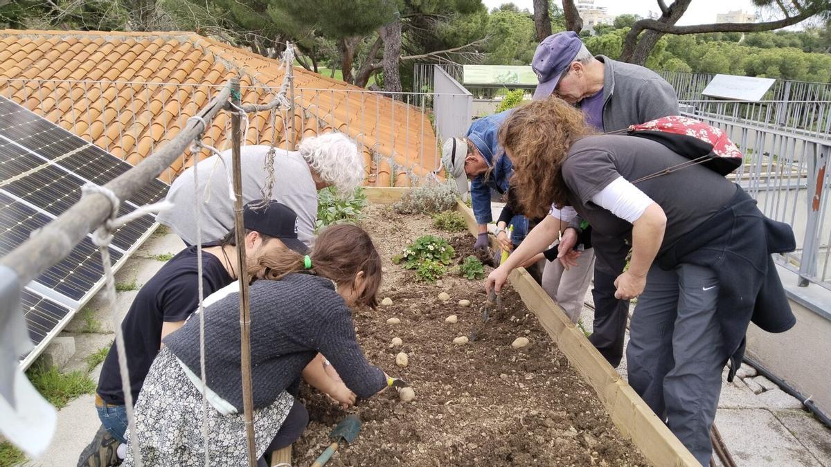 Todas las actividades estarán guiadas por