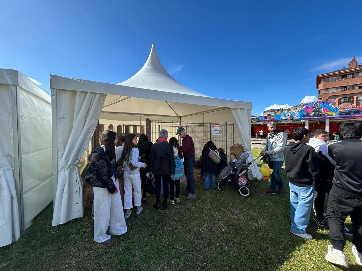 EN IMÁGENES: Así fue la primera jornada de las fiestas de San Isidro en Piedras Blancas