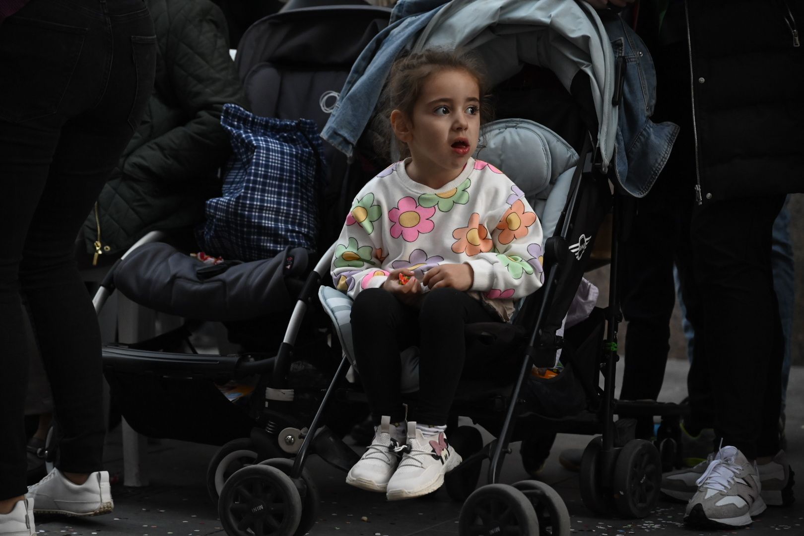 Desfile de collas y carros