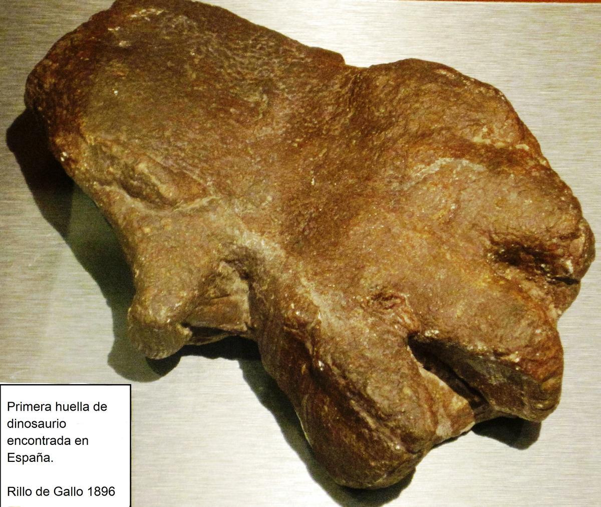 Primera huella de dinosaurio encontrada en España