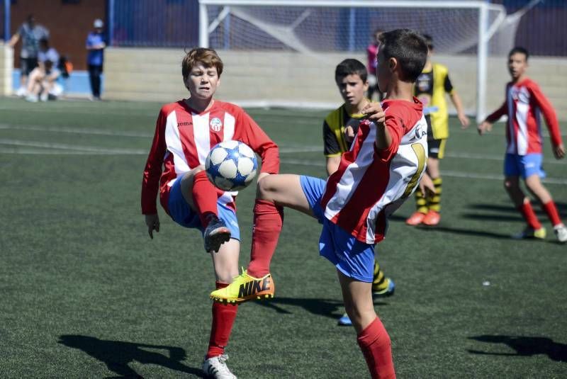 FÚTBOL: Tauste A - Teruel A (Alevín)