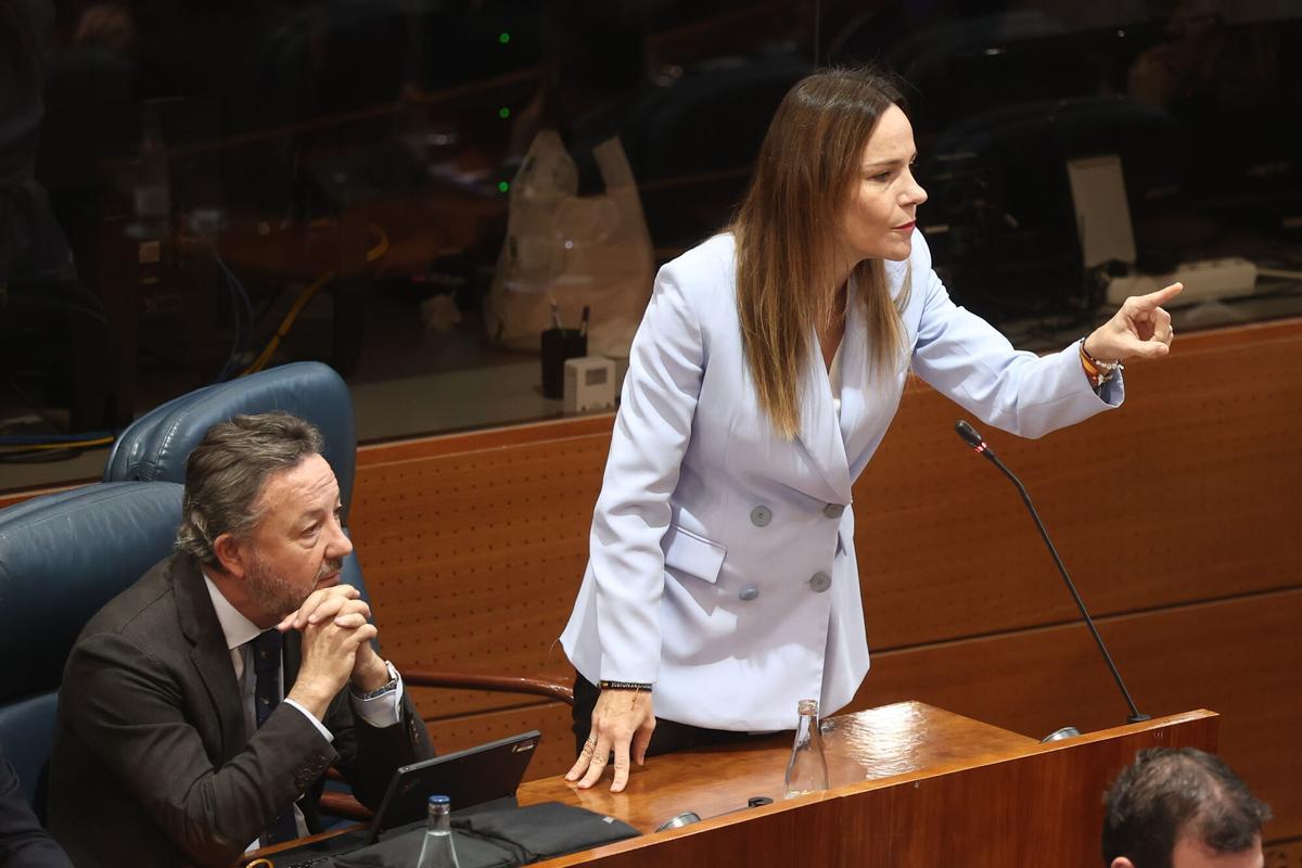 La portavoz de Vox en la Asamblea de Madrid, Isabel Pérez Moñino.