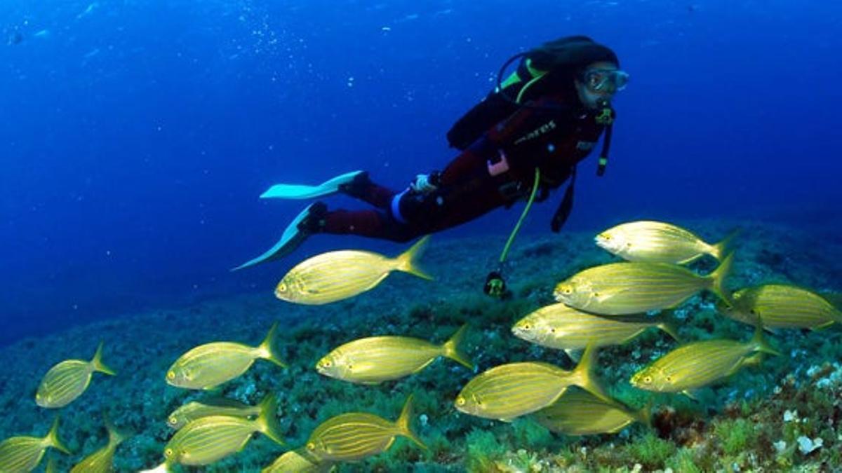 Octubre en Formentera