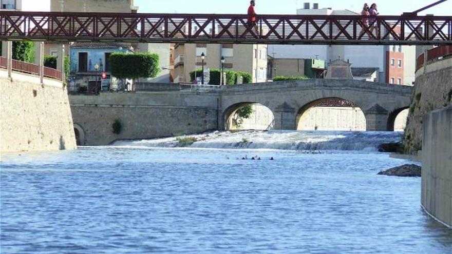 Imagen del río Segura a su paso por el casco urbano de Rojales, en una riada del pasado mes de agosto.