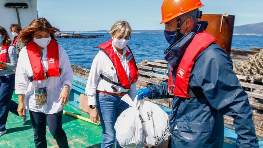 Un episodio diarreico y otro paralizante complican la gestión de las rías