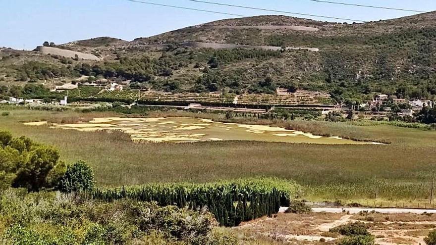 La Bassa de Sant Llorenç se encoge en Cullera