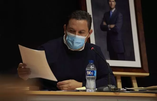 Pleno del Ayuntamiento de Arona, 26 de noviembre de 2020