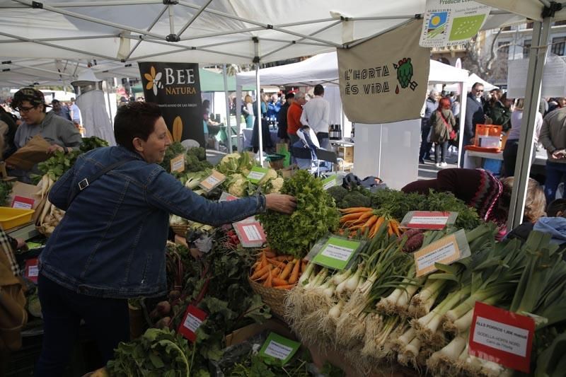 Los productos de proximidad llegan a la ciudad en "De l'horta a la plaça"