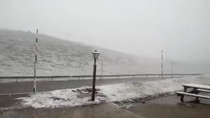 Dijous al matí va nevar al port de la Bonaigua.