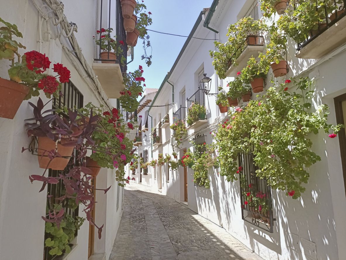 Priego de Córdoba decorado con flores.
