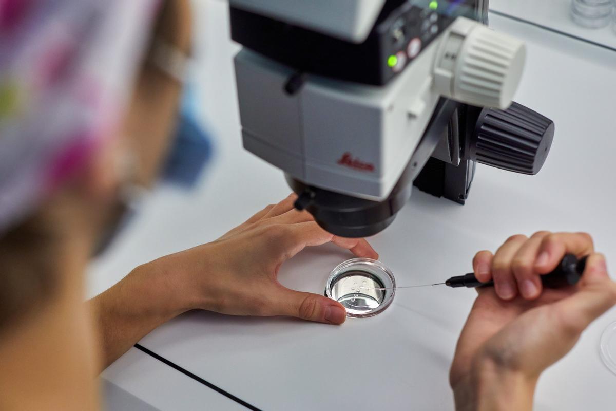 IVF-Life se ha especializado, además, en el abordaje de casos de alta complejidad.