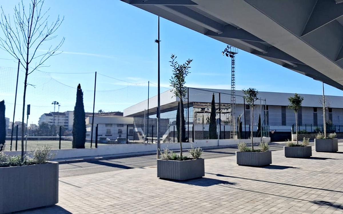 Árboles plantados entre el polideportivo de Altea y el puente del TRAM